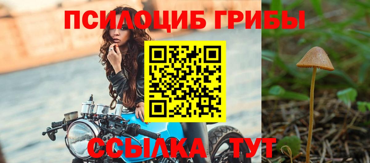 Псилоцибиновые грибы Psilocybe  Галлюциногенные грибы ЛСД  где купить наркоту  Вход с VPN  Учалы 